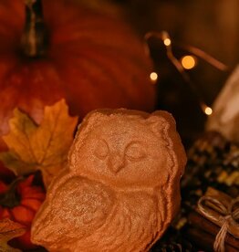 *Autumn Hoot |  Owl Themed Fall Crystal-Infused Bath Bomb