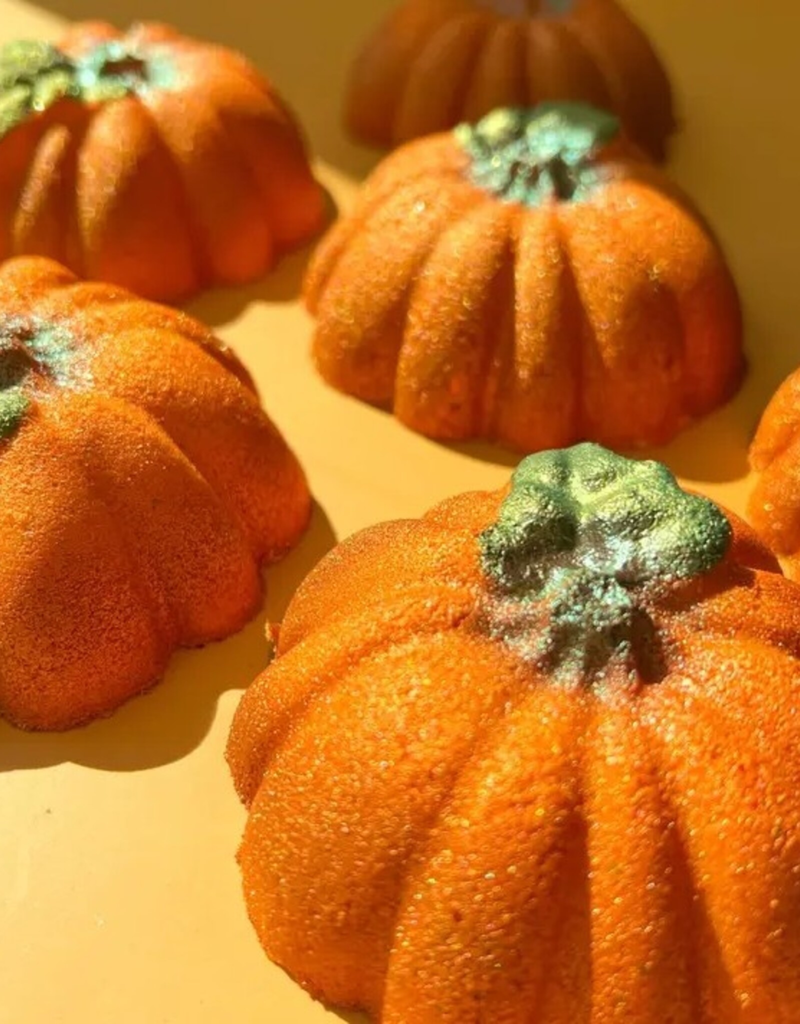 -Locally Grown | Fall Inspired Crystal Infused Bath Bomb