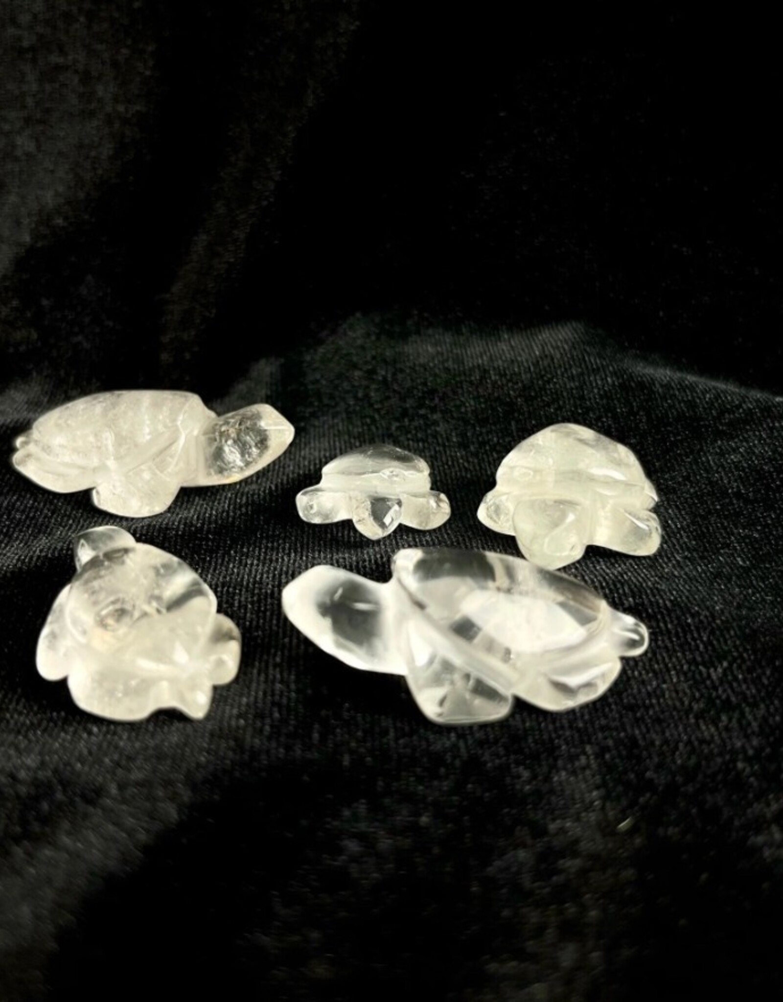 Crystal Carved Turtle | Clear Quartz | 25-35mm | Brazil