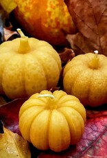 Beeswax Pumpkin Candles |