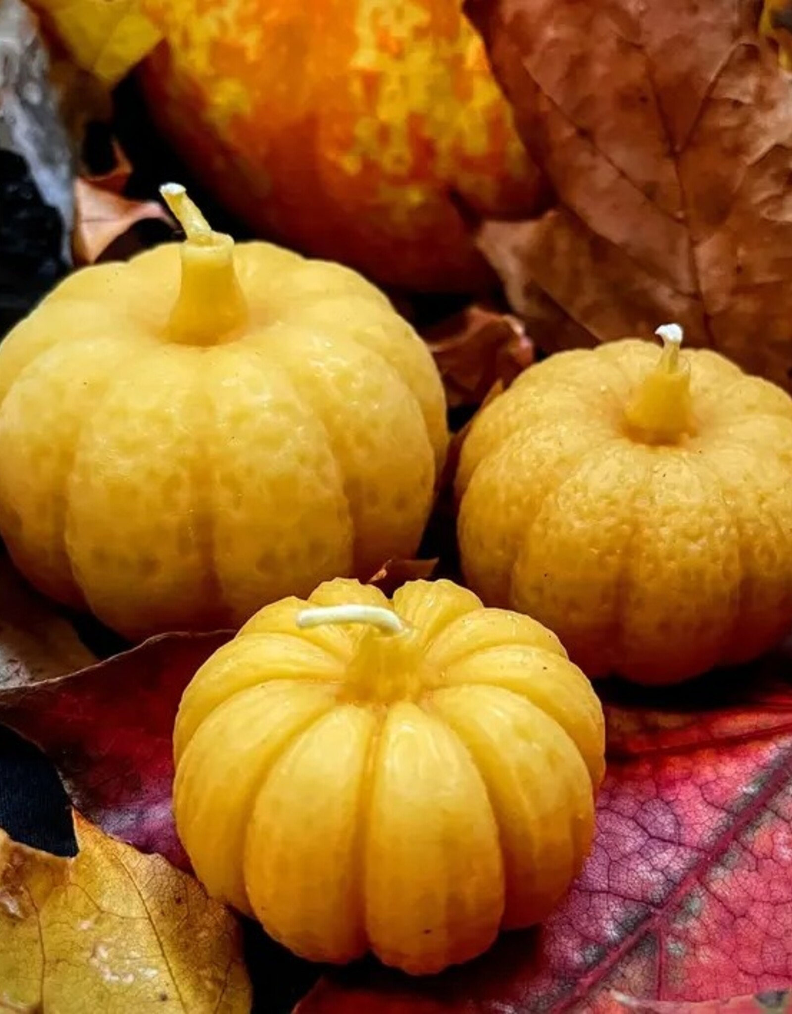Beeswax Pumpkin Candles |