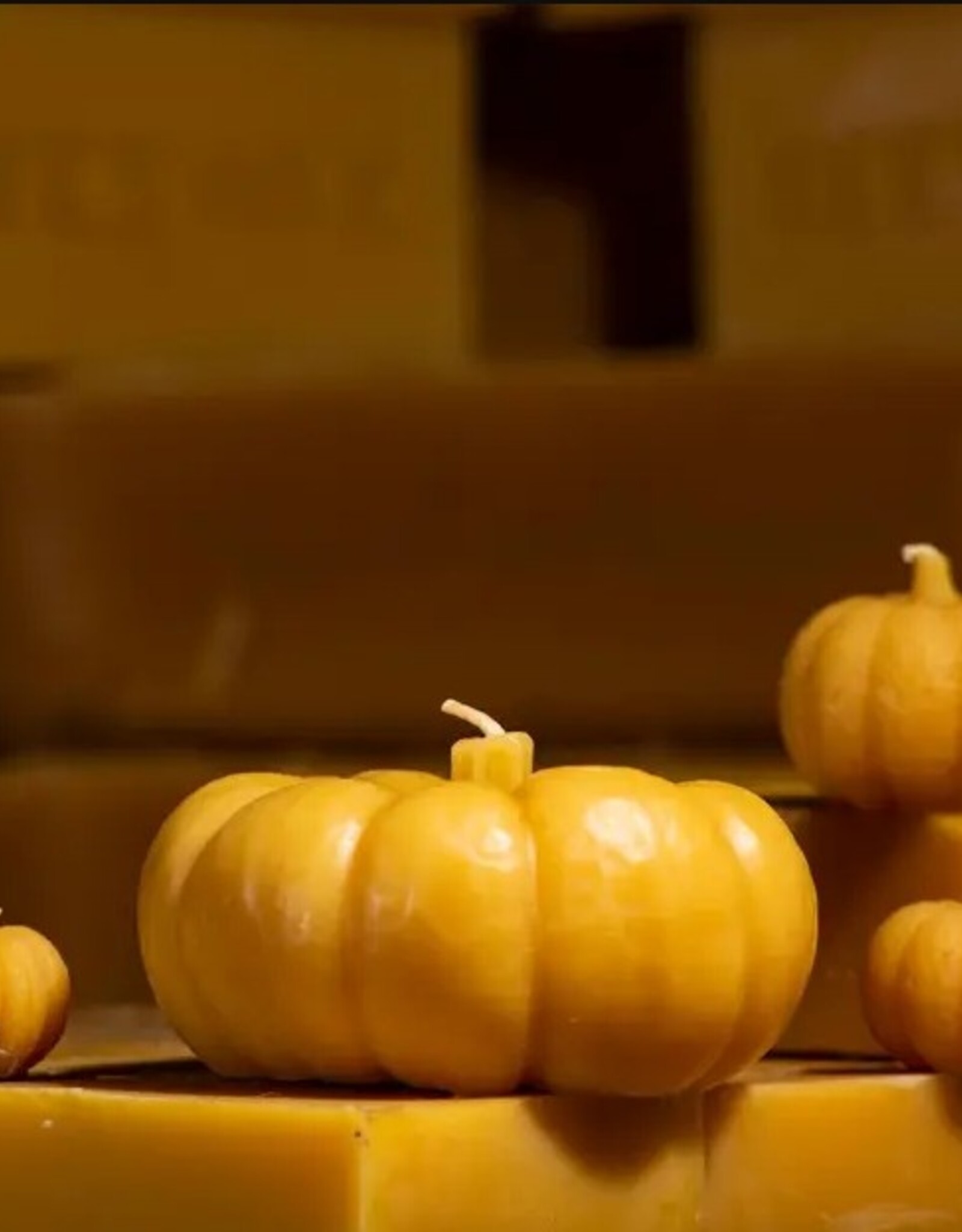 Beeswax Pumpkin Candles |
