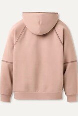 Classic Hoodie