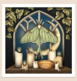 10" X 10" Luna Moth and Moon Print