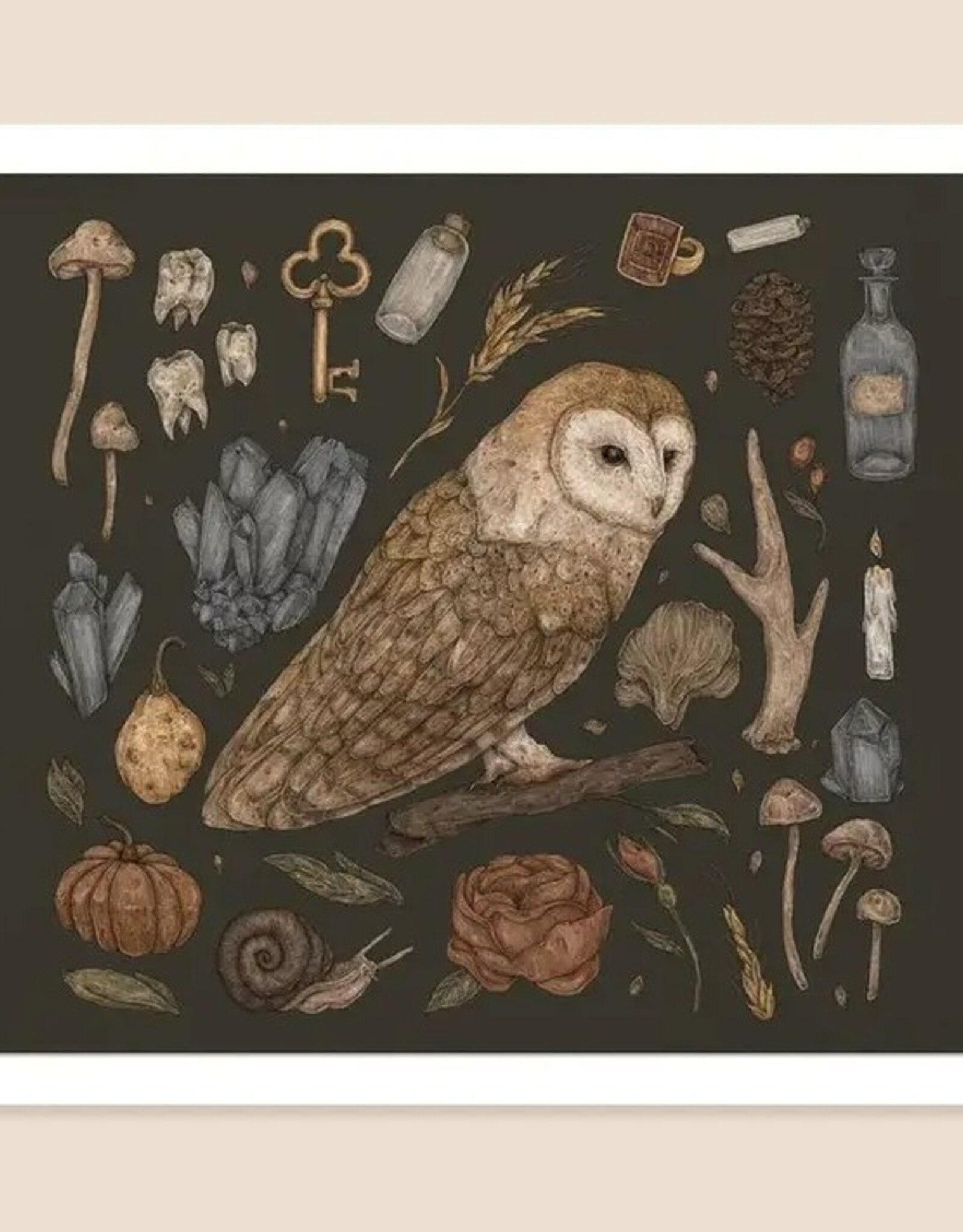 10.5” X 9” Harvest Owl Print