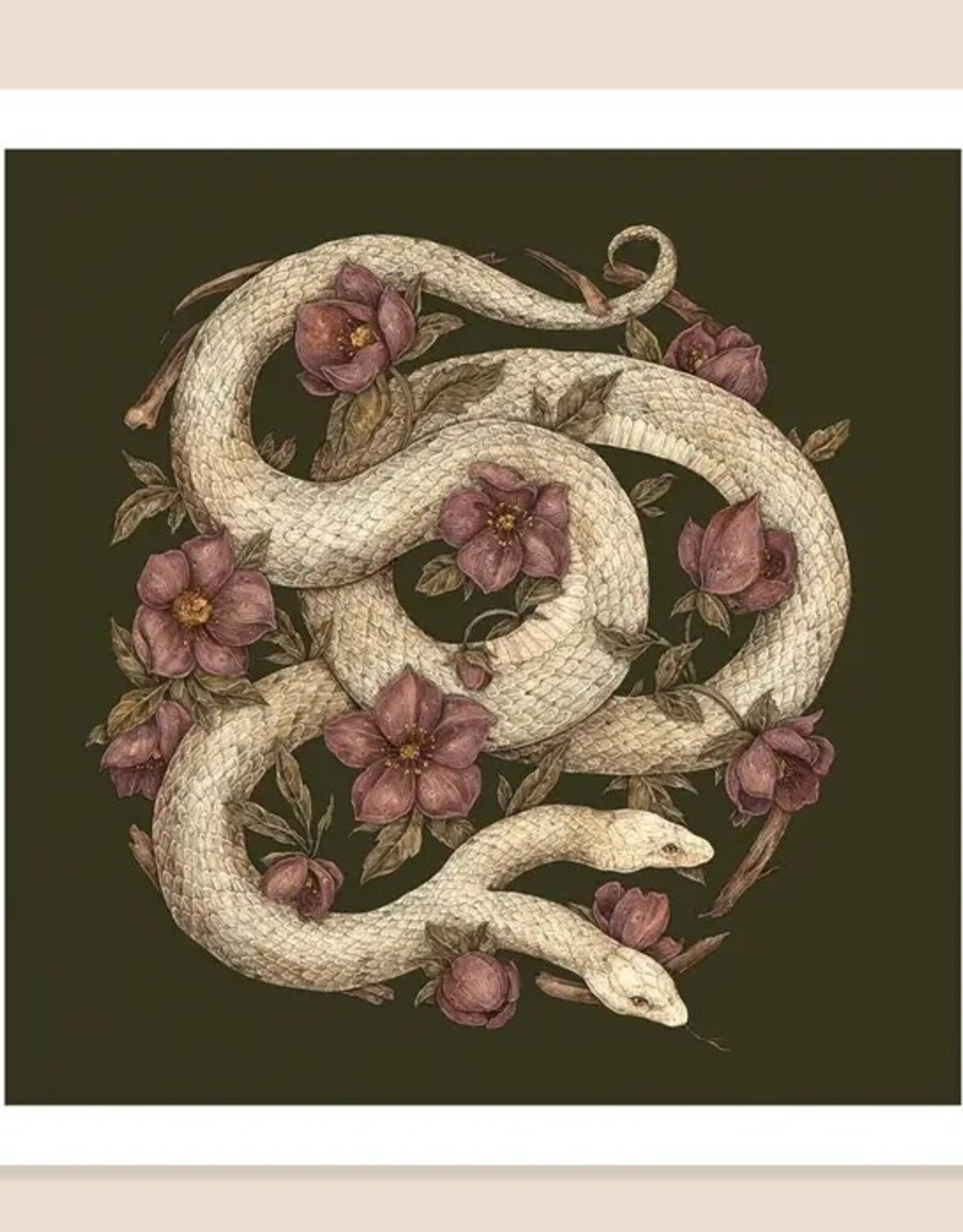 12” x 12” Two-Headed Snake Print