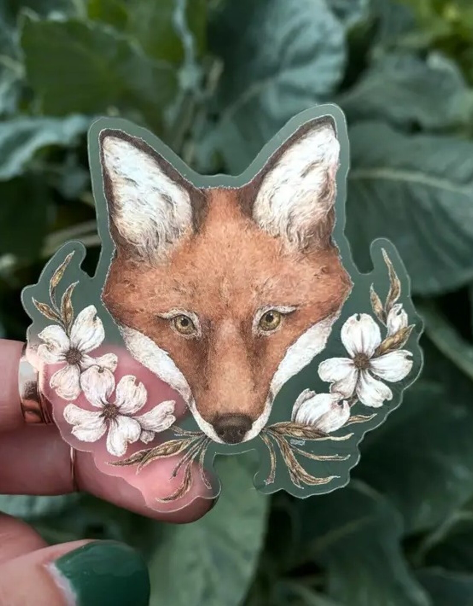 2.5" X 2.5" Fox and Dogwoods Semi-Transparent Sticker