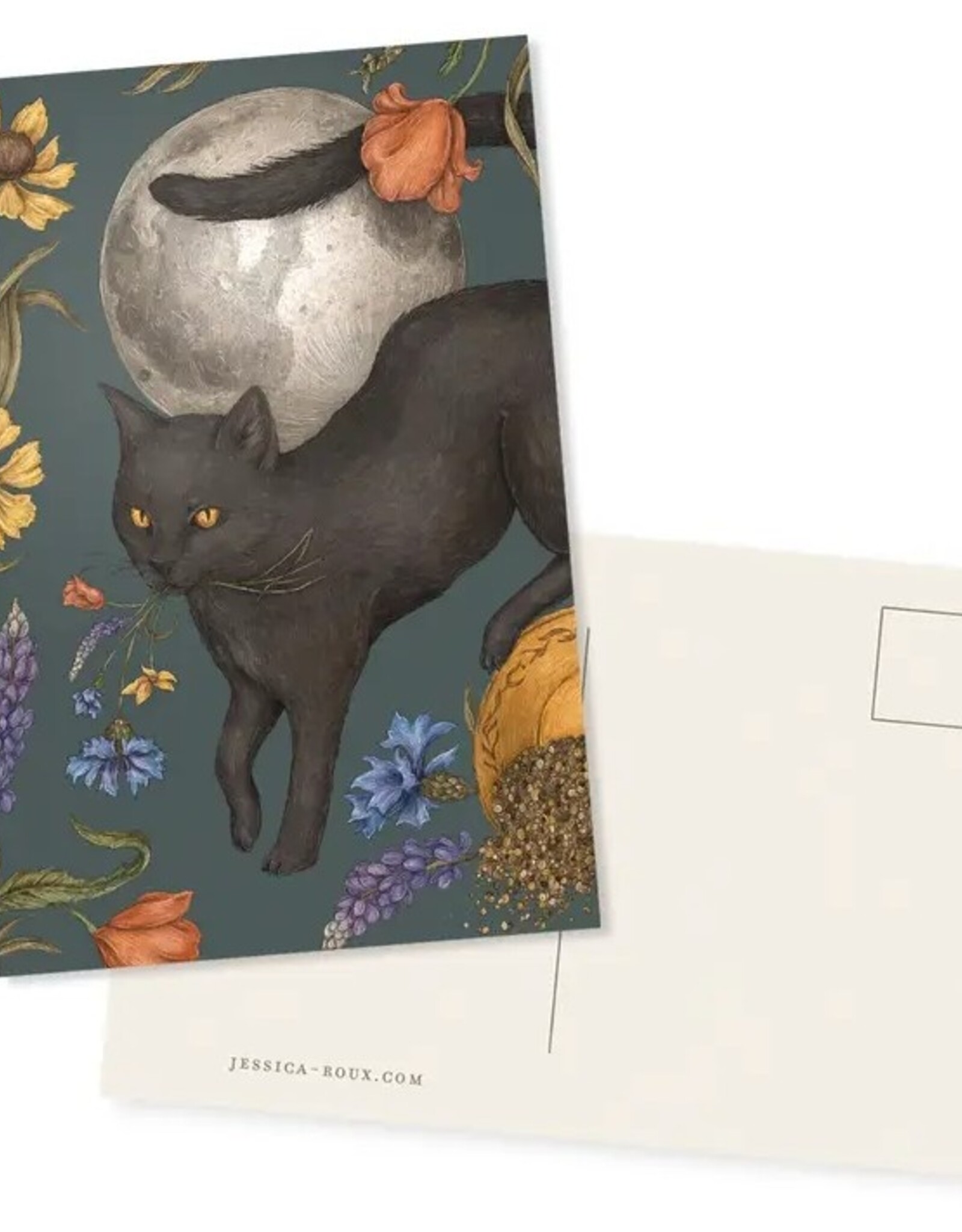 4” X 6” Black Cat and Full Moon Postcard