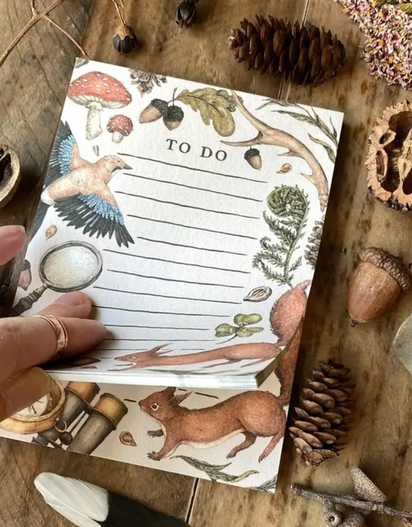 5.5” X 4” A Walk in the Woods Notepad