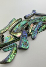 Abalone Rims | 25-50mm| New Zealand