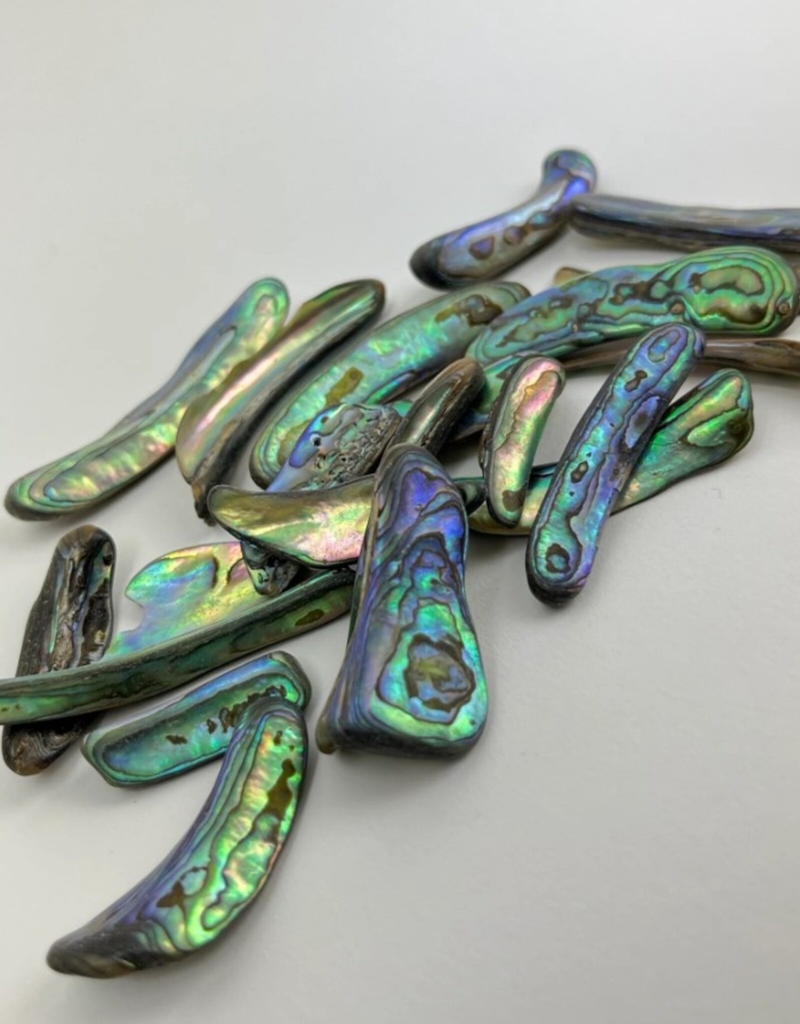 Abalone Rims | 25-50mm| New Zealand