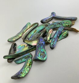 Abalone Rims | 25-50mm| New Zealand