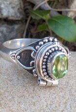 Gothic Oval Gemstone Poison Vessel Ring | Sterling Silver |