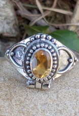 Gothic Oval Gemstone Poison Vessel Ring | Sterling Silver |