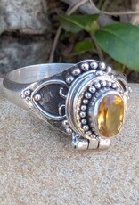 Gothic Oval Gemstone Poison Vessel Ring | Sterling Silver |