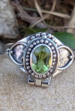 Gothic Oval Gemstone Poison Vessel Ring | Sterling Silver |