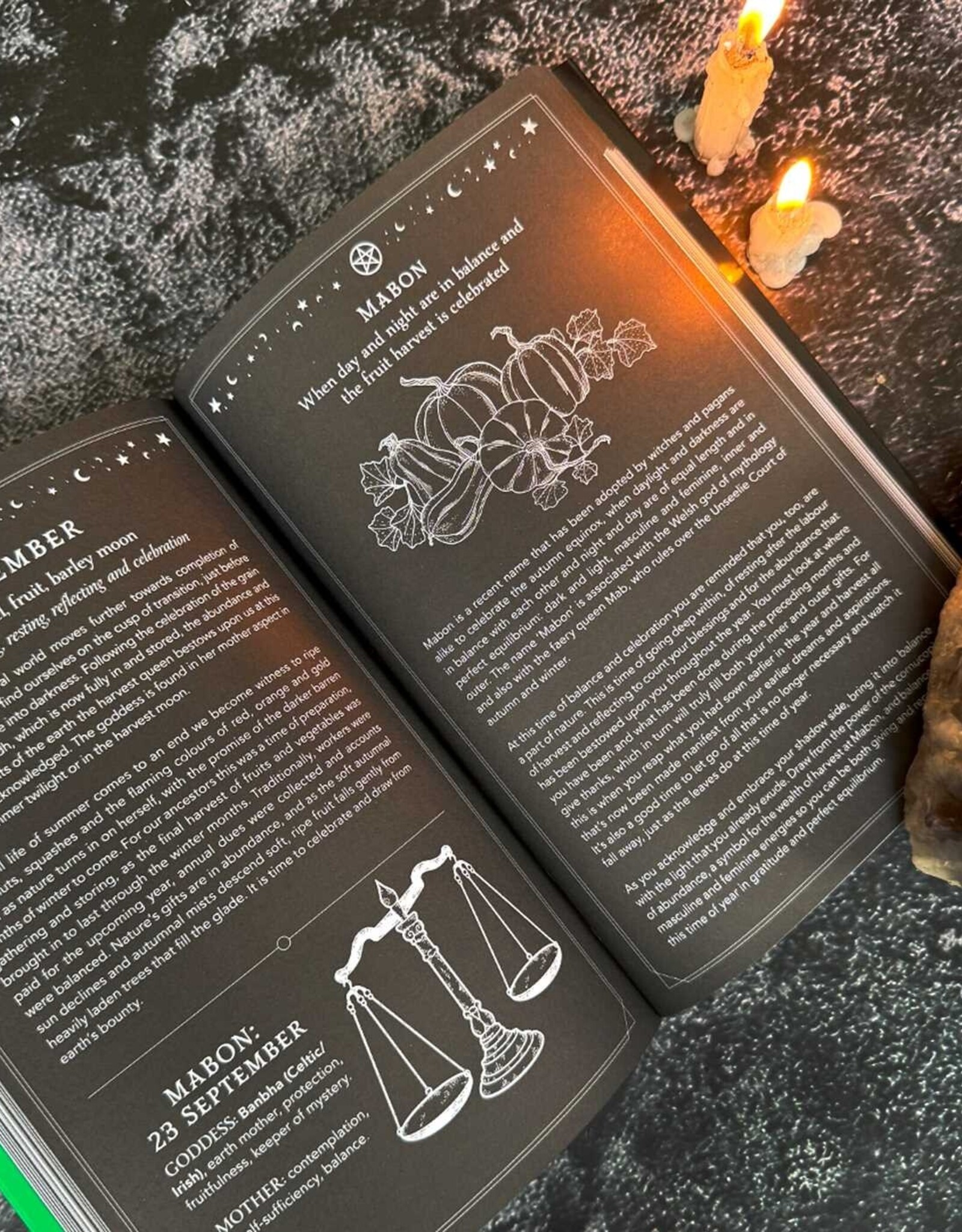 -2026 Witch's Diary Planner Calendar: Northern Hemisphere