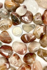 Tumbled Amphibole| Free Forms|20-40