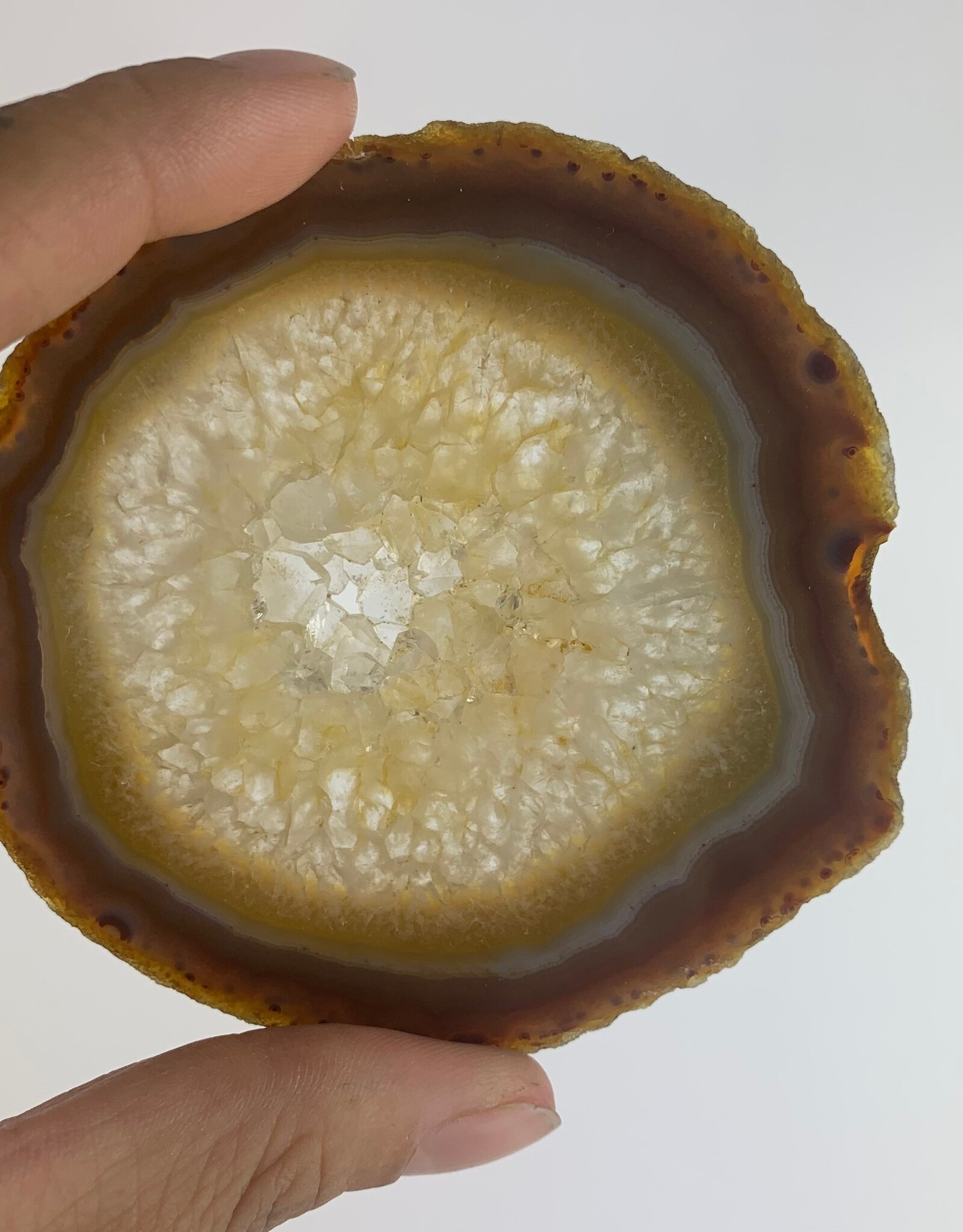 Agate Slice| 50-150mm