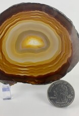 Agate Slice| 50-150mm