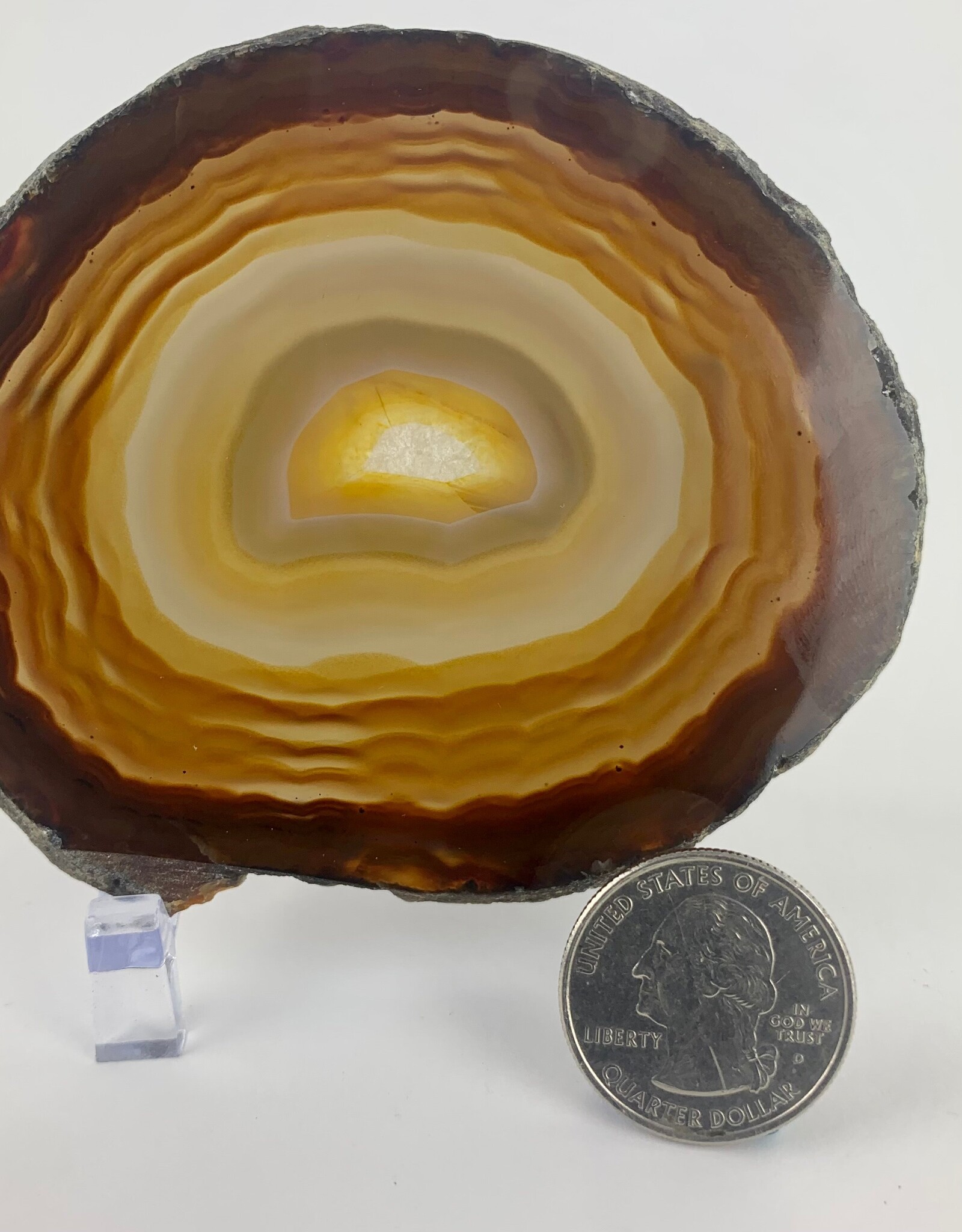 Agate Slice| 50-150