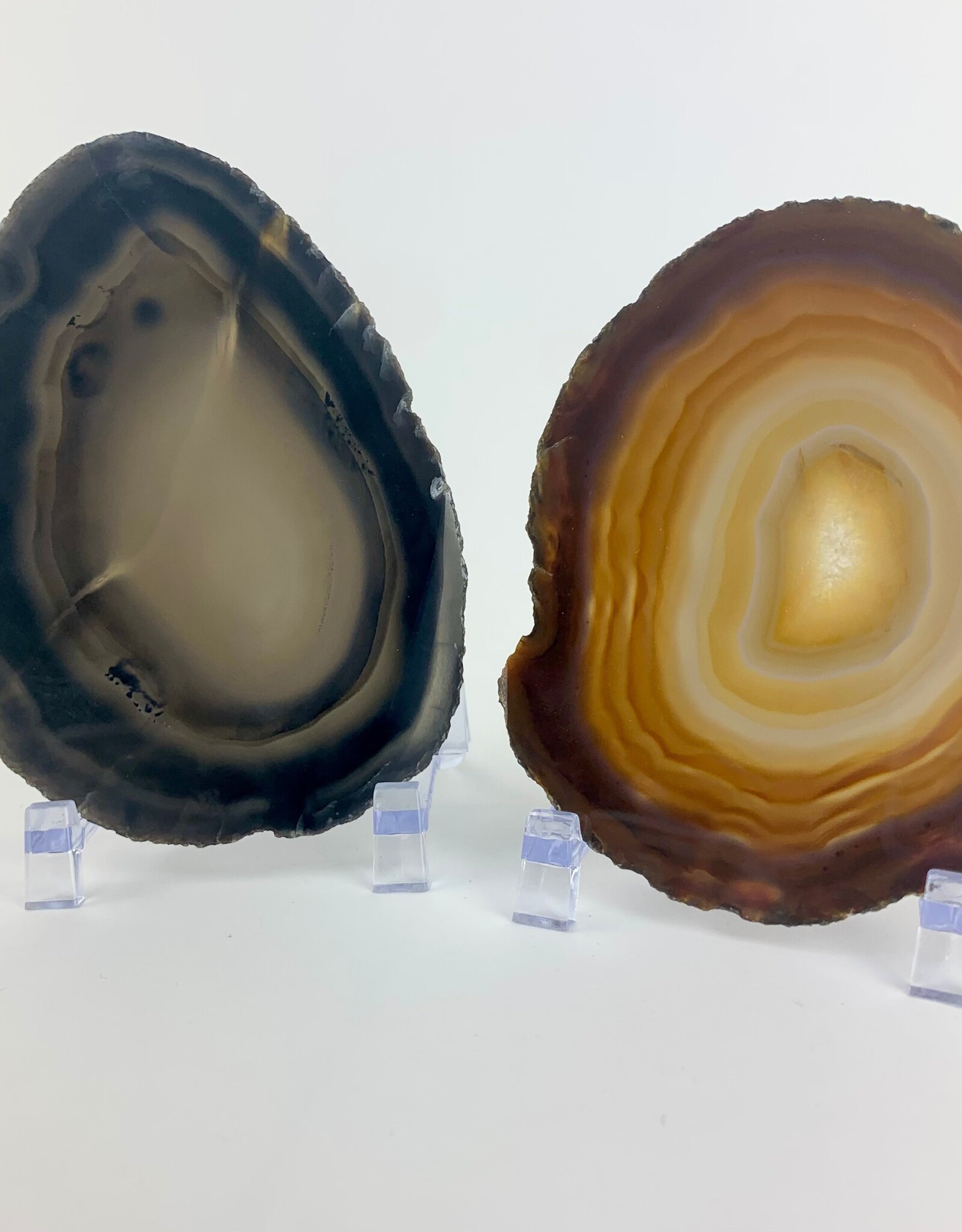 Agate Slice| 50-150mm