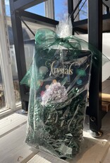 Training Witch Gift Set