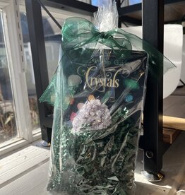 Training Witch Gift Set