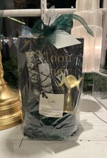 Lunar Exploration Gift Set