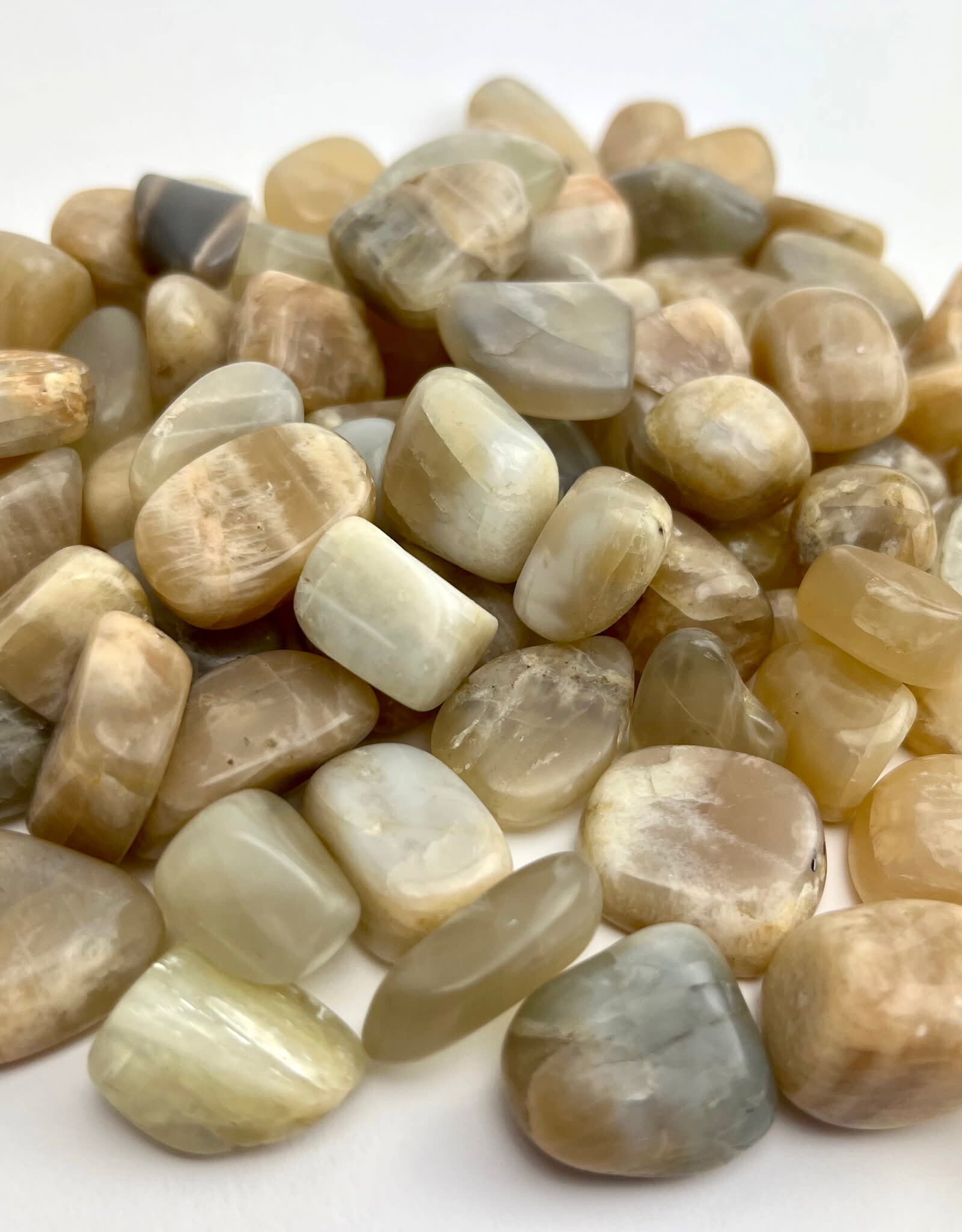 Moonstone |15-25mm| Tumbled