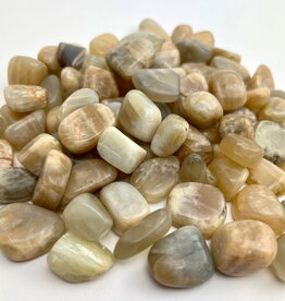 Moonstone |15-25mm| Tumbled