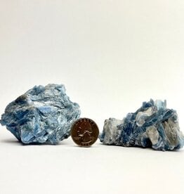 Paraiba Blue Kyanite Cluster | 50-70mm | Brazil