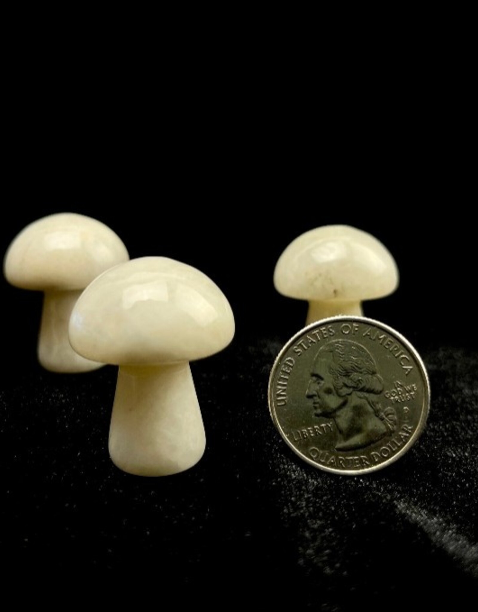 Belomorite Mushroom | 30mm
