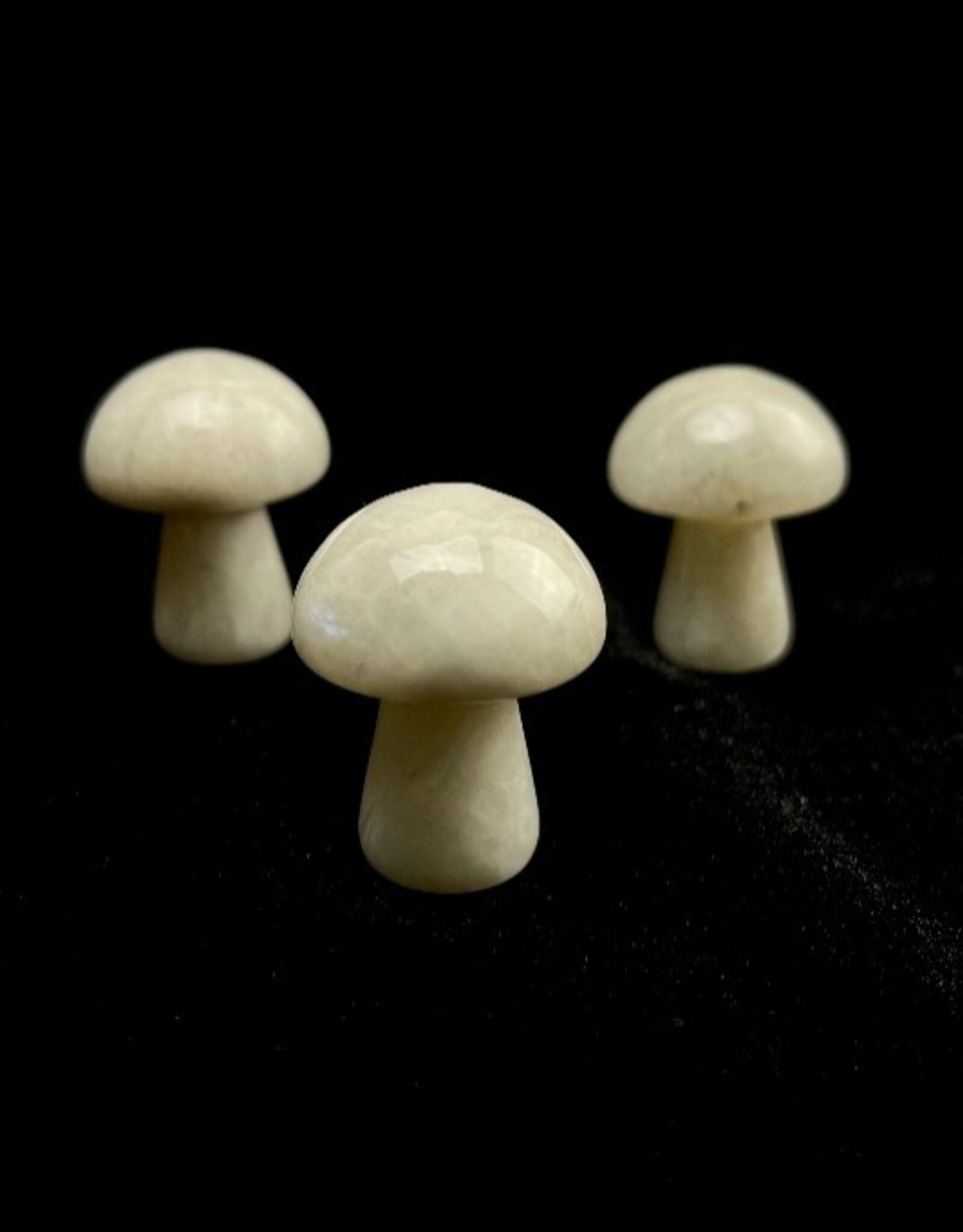 Belomorite Mushroom | 30mm