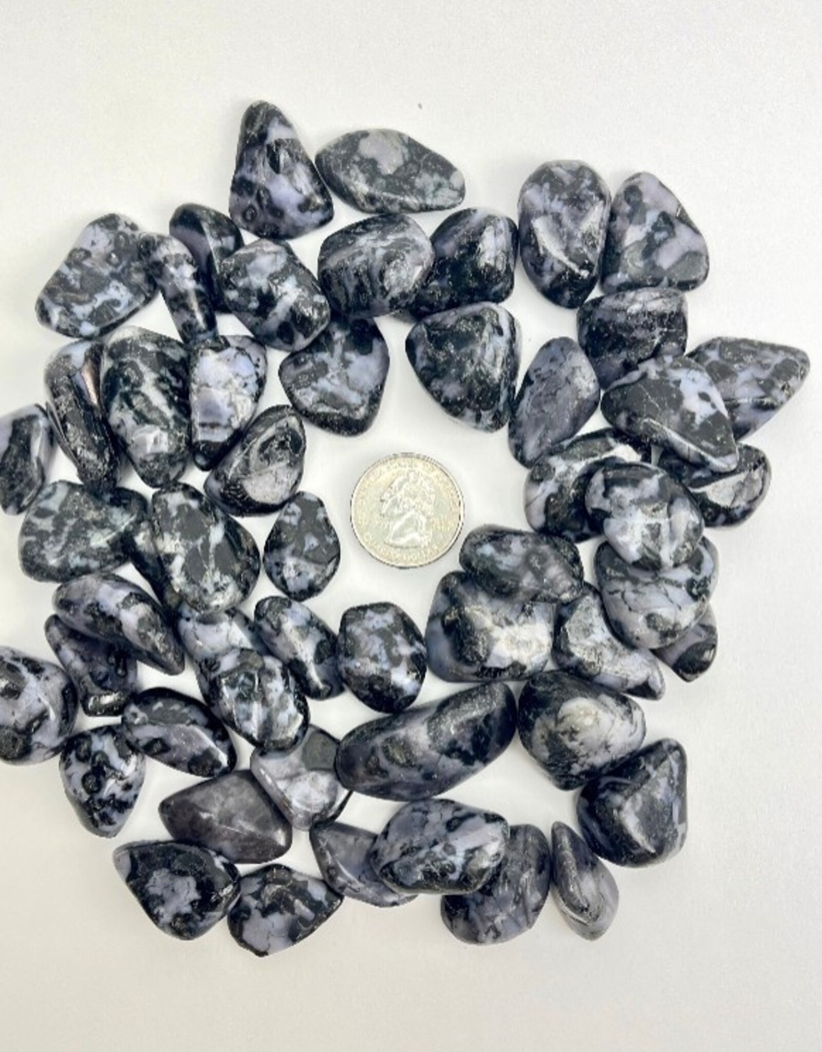 Indigo Gabbro "Mystic Merlinite" Tumbled |20-40mm