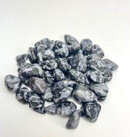 Indigo Gabbro "Mystic Merlinite" Tumbled |20-40mm