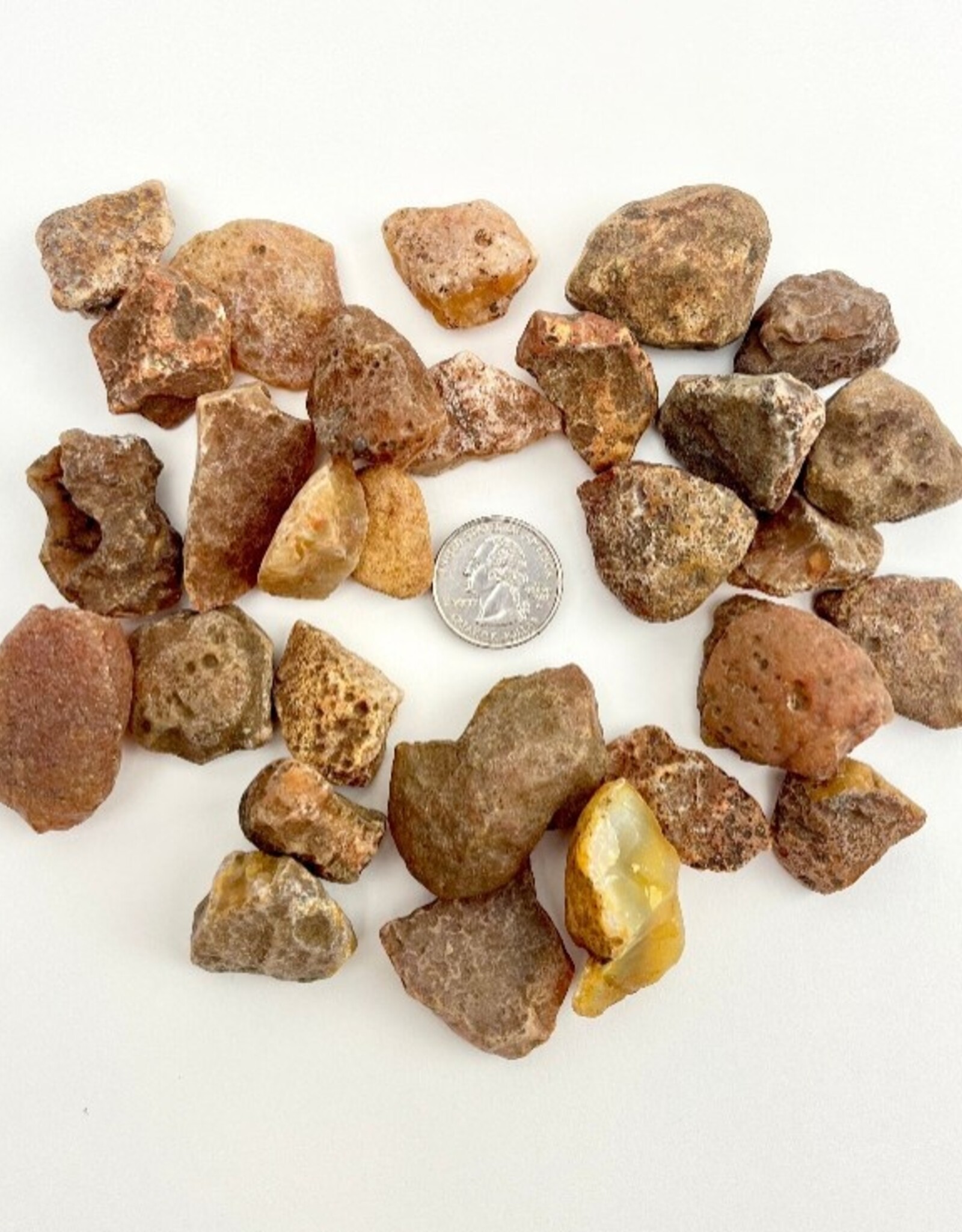 Carnelian | Raw | 25-45mm