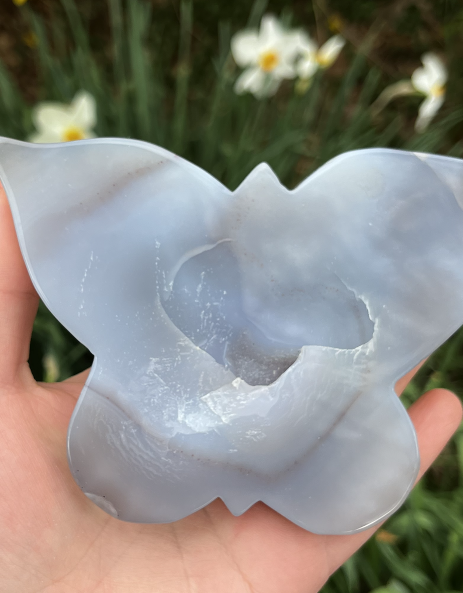 Agate Slice Butterfly M