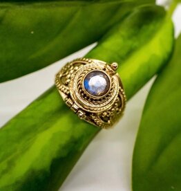Brass Decorated Poison Ring |
