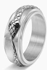 Snake Fidget Spinner Ring Silver/No Engrave