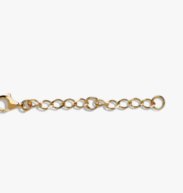 Necklace Extender ·