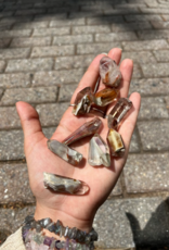 Amphibole Quartz | Rough Points