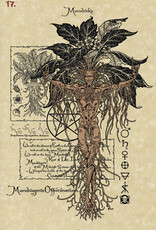 The Magickal Botanical Oracle