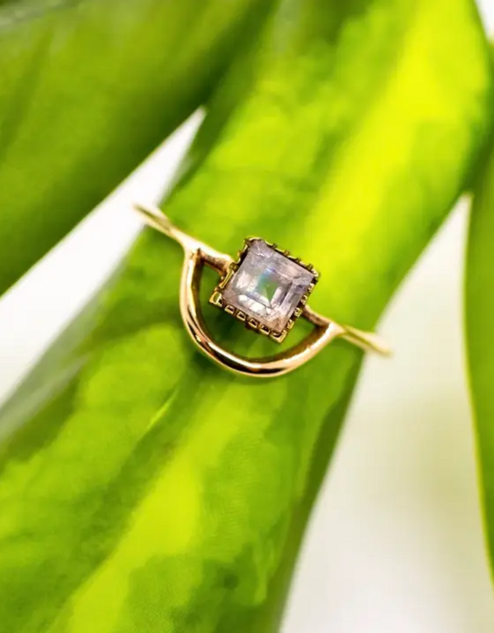 Brass Moonstone Loop Ring |
