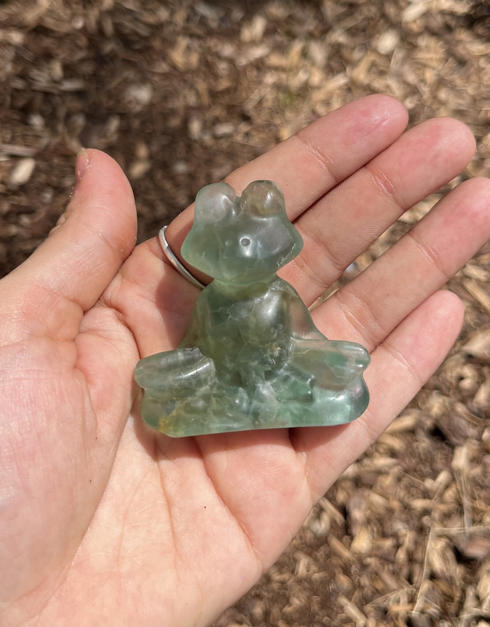 Carved Crystal Yoga Frog | Fluorite