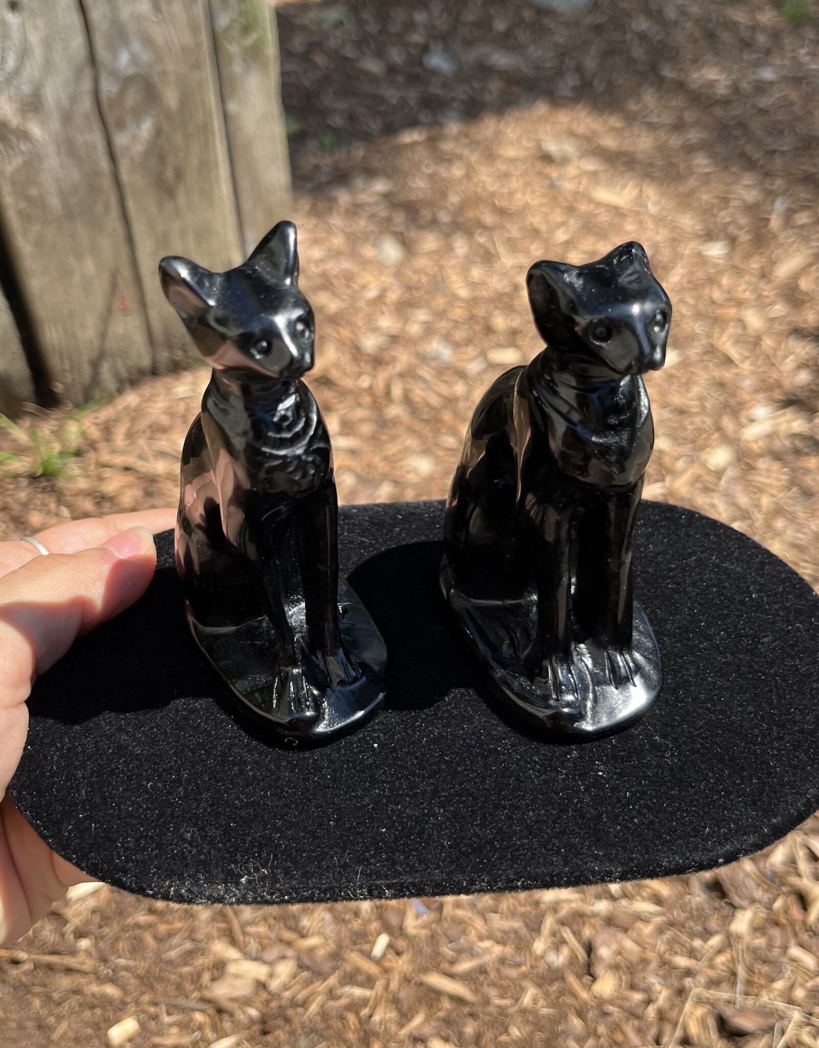 Carved Crystal Cat Print |