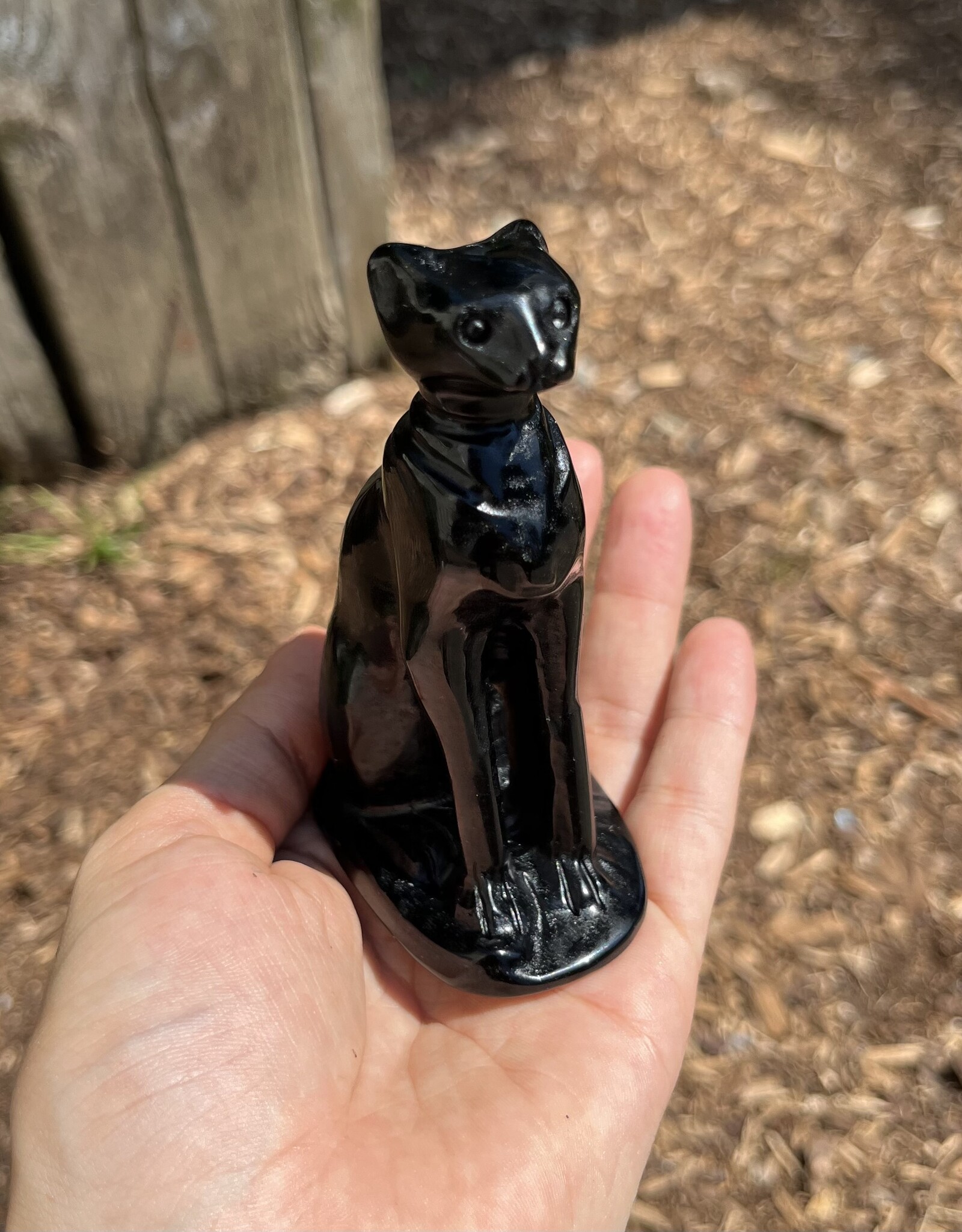 Carved Crystal Cat Print |
