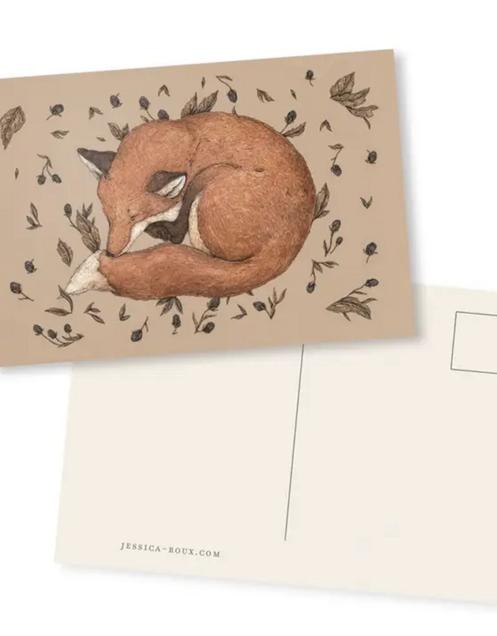 4” X 6” Sleeping Fox Postcard