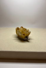 Crystal Hedgehog |