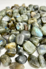 Labradorite Tumbled | 10-35MM | Madagascar